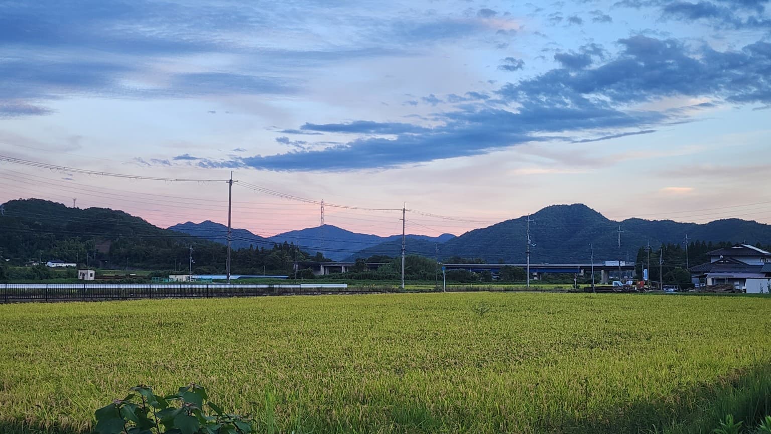夏から初秋の夕暮れ、綾部の稲田の向こうに連なる山々