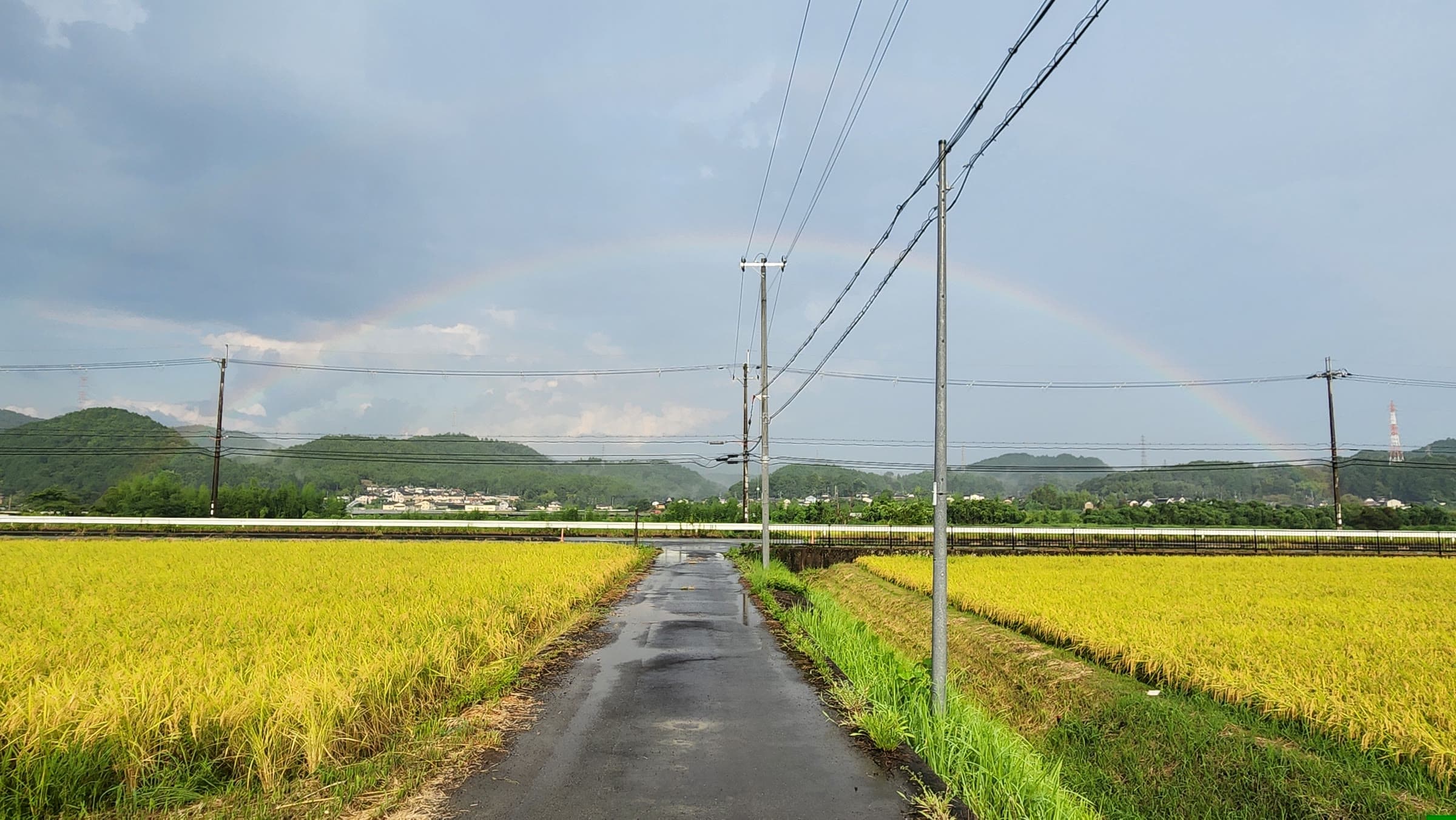 虹の下、稲田の間をまっすぐ延びる綾部の道